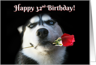 Happy Birthday Husky Dog With Rose 32nd Bday card