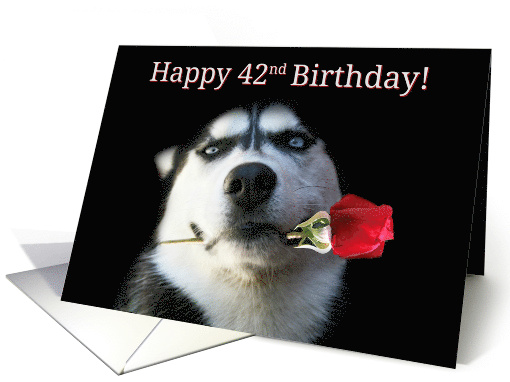 Happy Birthday Husky Dog With Rose 42nd Bday card (1262090)