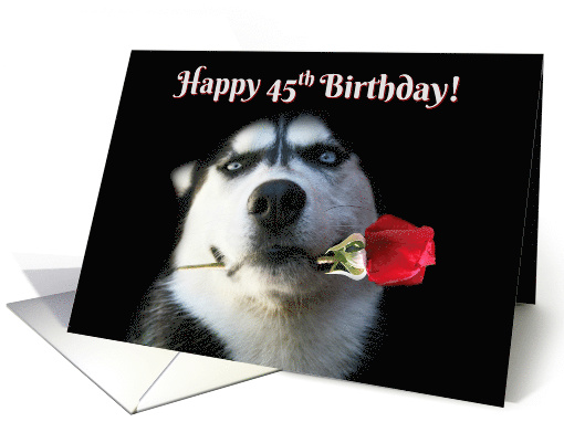 Happy Birthday Husky Dog With Rose 45th Birthday card (1262102)