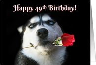 Happy Birthday Husky Dog With Rose 49th Birthday card