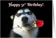 Happy Birthday Husky Dog With Rose 51st Bday card