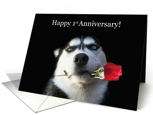 Happy 1st Anniversary Red Rose and Husky card (1262886)