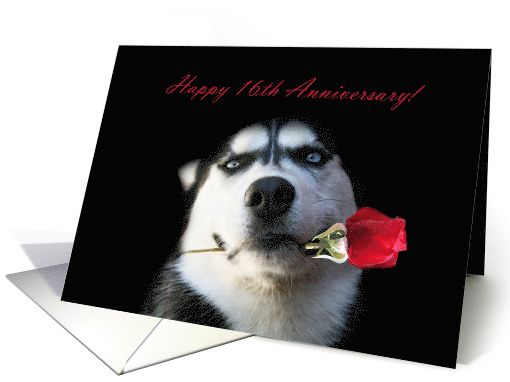 Happy 16th Anniversary Red Rose and Husky card (1264150)