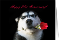 Happy 24th Anniversary Red Rose and Husky card