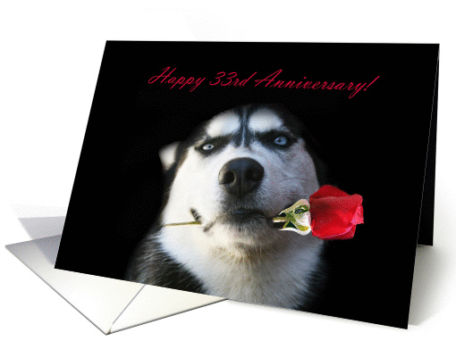 Happy 33rd Anniversary Red Rose and Husky card (1264186)