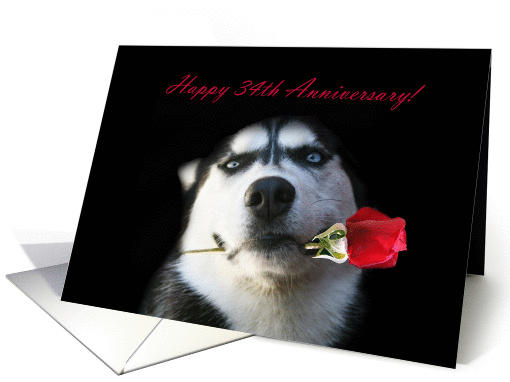 Happy 34th Anniversary Red Rose and Husky card (1264192)