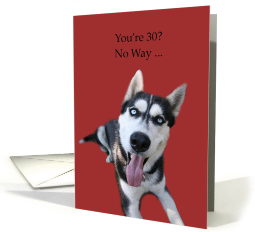Funny 30th Birthday Card with Siberian Husky card (1264226)