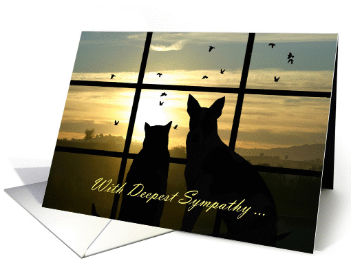 Sympathy Dog and Cat in Window Customizable Cover and Inside card