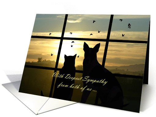 Sympathy card with dog and cat in the sunset from both of us card