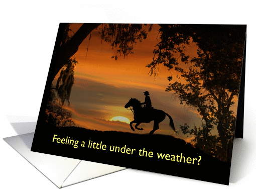 cowboy and sunset get well card (1264834)