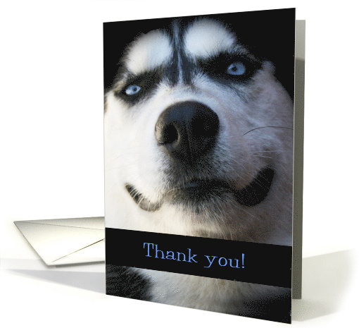 Smiling Husky Thank You card (1274770)