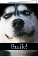 Smiling Husky Encoargement card
