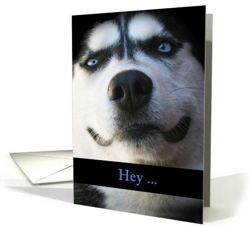 Smiling Husky Hello card (1274944)