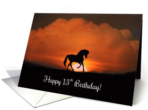 Happy 13th Birthday Horse in Sunset, Horse Thirteenth... (1276218)