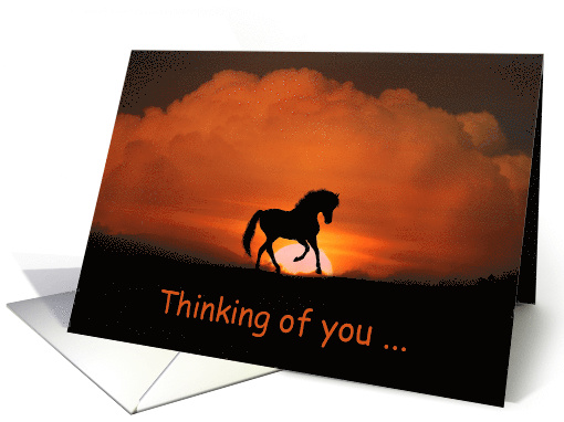 Thinking of you horse in sunset card (1276406)