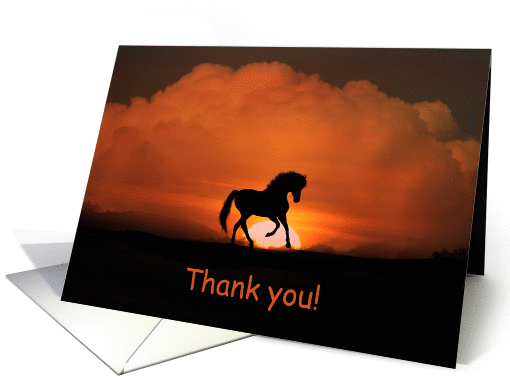 Thank you horse in sunset card (1276414)