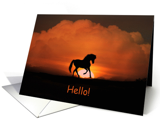 Hello Horse in Sunset card (1276422)