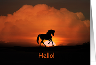Hello Horse in Sunset card