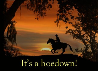 Country Western Party Invitation