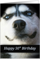 Smiling Husky Happy 50th Birthday, Sweet Turning 50, 50 Years Old card