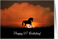 Happy 14th Birthday Horse in Sunset, Horse Birthday, Fun 14th BDay card