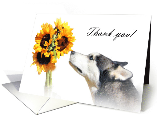 Thank you Veterinarian Happy Husky Dog with Sunflowers card (1279138)