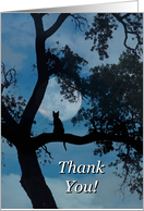 Thank you Veterinarian Cat in Tree and Moon card