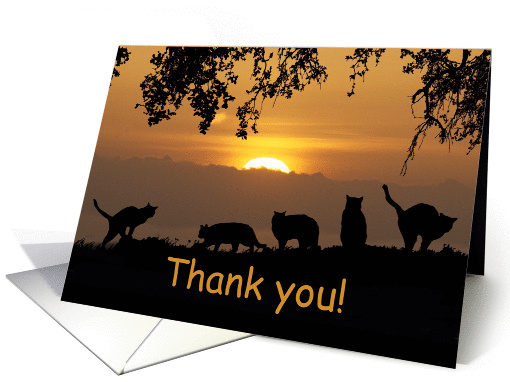 Thank you for volunteer at the animal shelter cats in sunset card