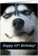 Happy 10th Birthday Smiling Husky Dog, Kid’s 10th Birthday, Smile card