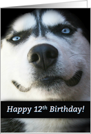 Happy 12th Birthday Smiling Husky Dog, Cute Kid’s 12th Birthday card