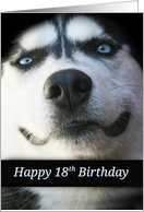 Happy 18th Birthday Smiling Husky Dog, Turning 18, Cute 18th Bday card