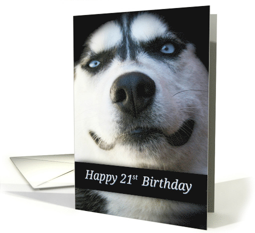 Happy 21st Birthday Smiling Husky Dog, Fun 21st Birthday... (1280860)