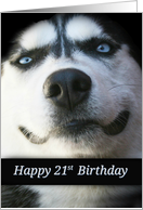 Happy 21st Birthday Smiling Husky Dog, Fun 21st Birthday Turning 21 card