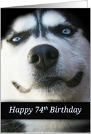 Cute Turning 74, Happy 74th Birthday, Sweet Dog Birthday card