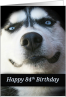 Cute Happy 84th Birthday, Smiling Dog Cute and Fun Happy Birthday card