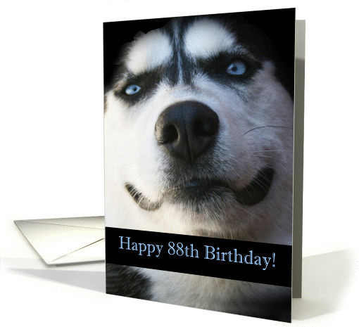 Happy 88th Birthday Smiling Husky Dog card (1281504)