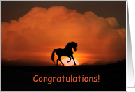 Congratulations on Becoming a Equine Veterinarian card