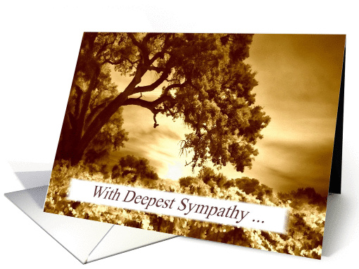 Antiqued Vineyard and Oak Tree Sympathy card (1282542)