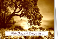 Antiqued Vineyard and Oak Tree Sympathy Card