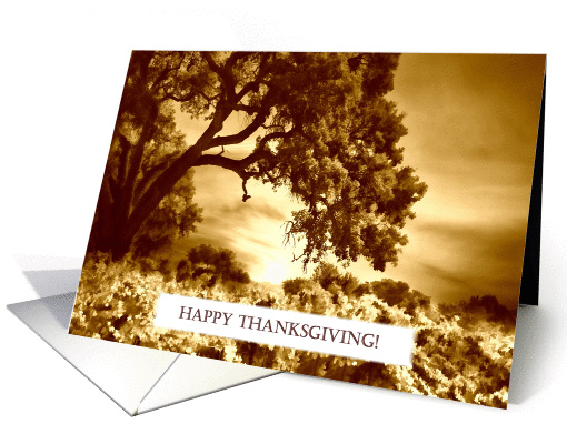 Antiqued Vineyard and Oak Tree Happy Thanksgiving card (1282972)