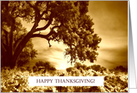 Antiqued Vineyard and Oak Tree Happy Thanksgiving card