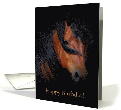 Beautiful Horse Birthday card (1303976)
