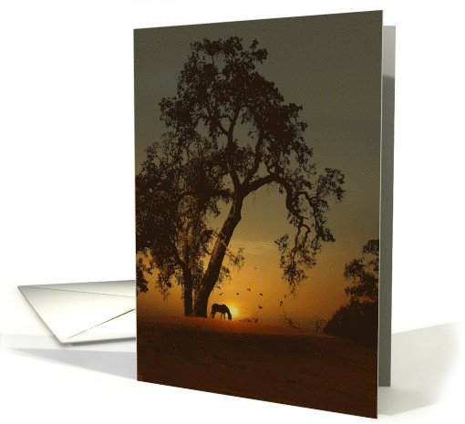 Horse and Oak Tree Sunrise Thank you card (1307680)