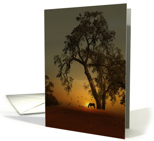 Horse and Oak Tree Sunrise Hello card (1307684)