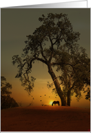 Horse and Oak Tree Sunrise Hello card