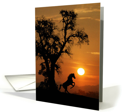 Horse in the Sunset Thinking of You card (1307992)