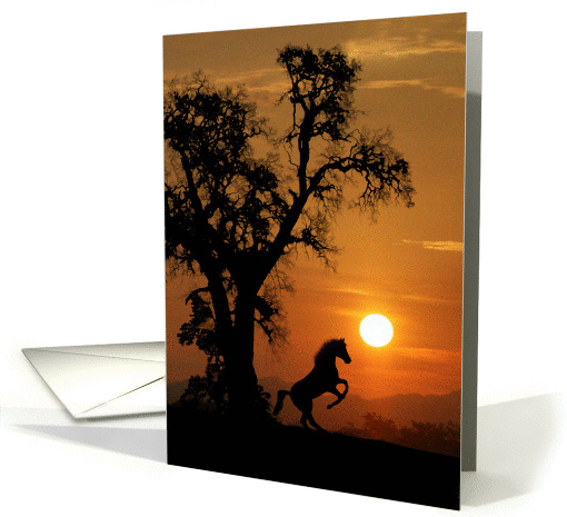 Horse in the Sunset Encouragement card (1308004)