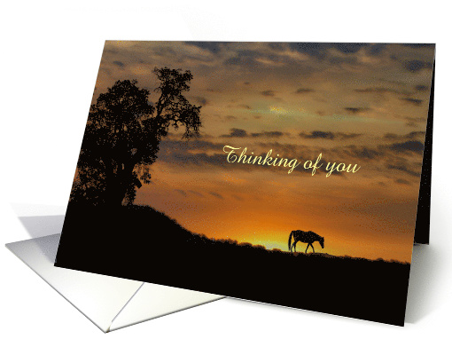 Horse in Sunset Thinking of You Customizable card (1310362)