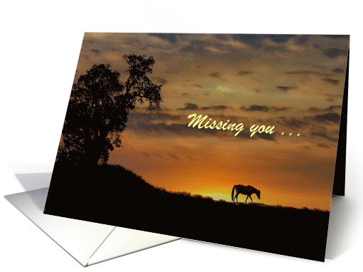 Horse in Sunset Missing You Customizable card (1310364)