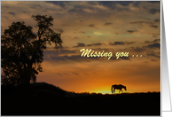 Horse in Sunset Missing You Customizable card